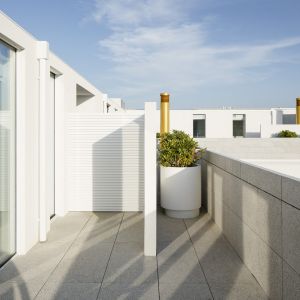 Autor: Luis Díaz Díaz