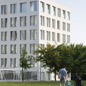 Autor: Luis Díaz Díaz