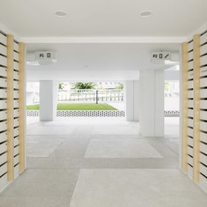 Autor: Luis Díaz Díaz