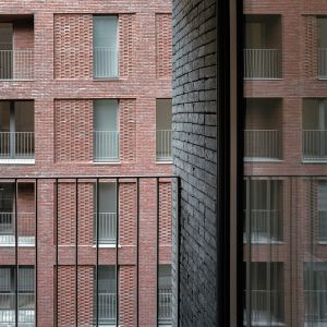 Autori: Schnepp Renou