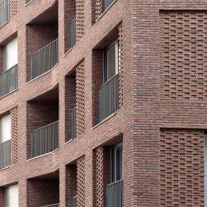 Autori: Schnepp Renou