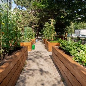 Zdroj: Plánuj Mesto Trnava