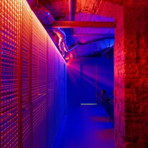 Autorka: Welin Nagyová