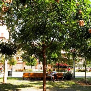 Paseo de Sant Joan. Autor: Jaume Barnada