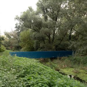 Autor: Szabolcs Molnár