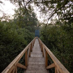 Autor: Szabolcs Molnár