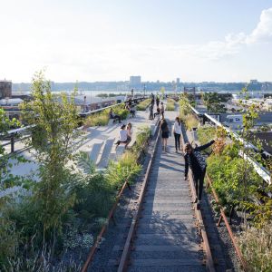 High Line. Autor: Iwan Baan