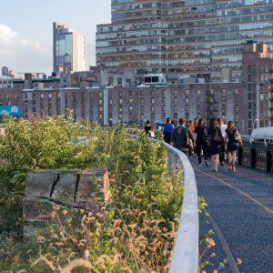 High Line. Autor: Iwan Baan