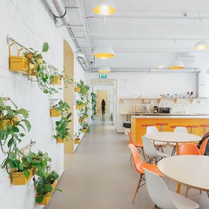 Flow Hostel. Autor: Balázs Danyi