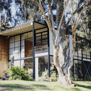 Autor: Taylor Simpson