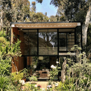 Autor: Taylor Simpson