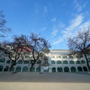 Autor: Dominik Jursa / YIM.BA