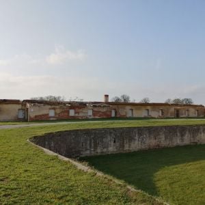 Zdroj: Mesto Holíč