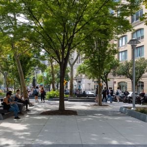 Spring Street Park. Autorka: Elizabeth Felicella