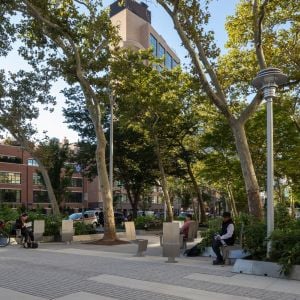 Hudson Street. Autorka: Elizabeth Felicella