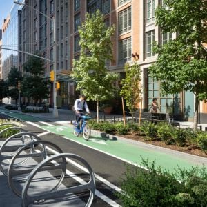 Hudson Street. Autorka: Elizabeth Felicella