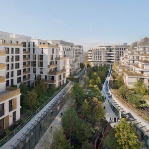 Autor: Jared Chulski