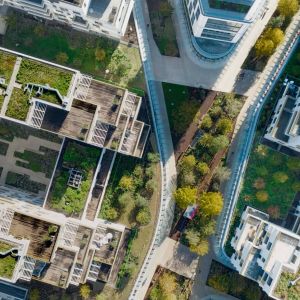 Autor: Jared Chulski