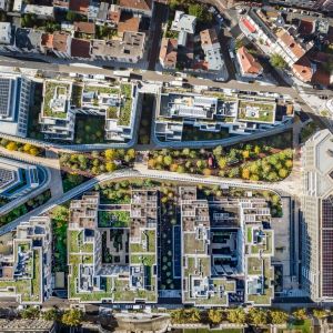 Autor: Jared Chulski