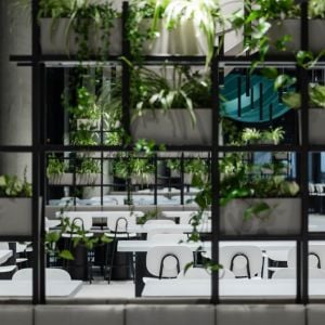 Autor: Tomáš Hejzlar