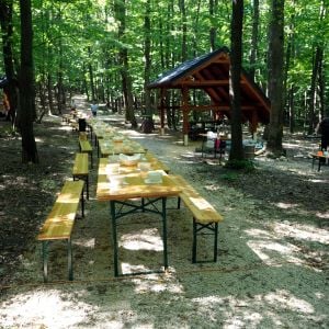 Lesopark Pereš. Zdroj: Mesto Košice