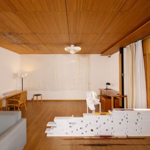 Autor: Aurélien Mole