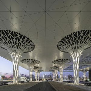 Autor: Rafal Chojnacki