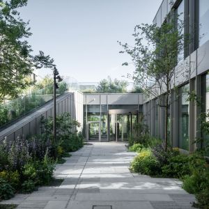 Autor: Sjavit Maestro