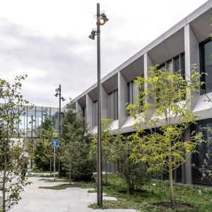 Autor: Sjavit Maestro