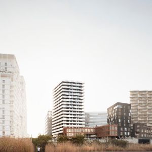 Autor: Schnepp Renou