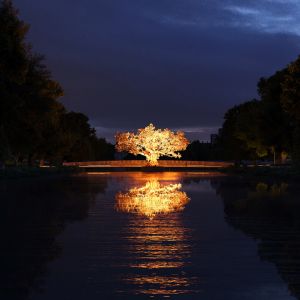 Zdroj: Tom Stuart-Smith 