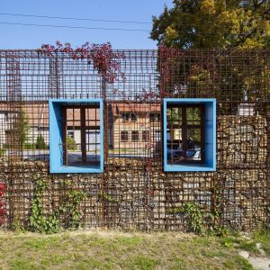 Zelený Les. Autor: Tomáš Manina