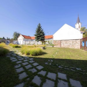 Zelený Les. Autor: Tomáš Manina