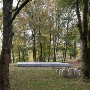 Autorka: Alex Shoots Buildings