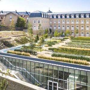 Autor: Sergio Grazia