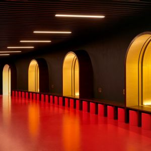 Rudolfinum. Autor: Peter Fabo