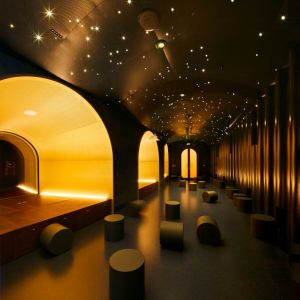 Rudolfinum. Autor: Peter Fabo