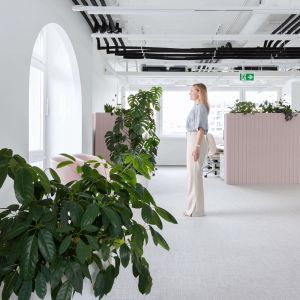 Autor: Matej Zelenay