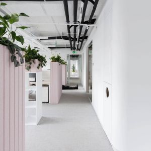 Autor: Matej Zelenay