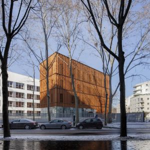 Autor: Juan Sepulveda Grazioli