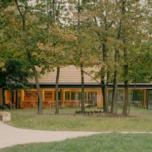 Autor: Balázs Danyi