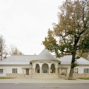 Autor: Balázs Danyi