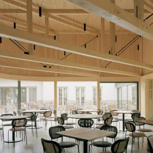 Autor: Balázs Danyi