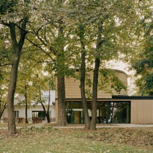 Autor: Balázs Danyi