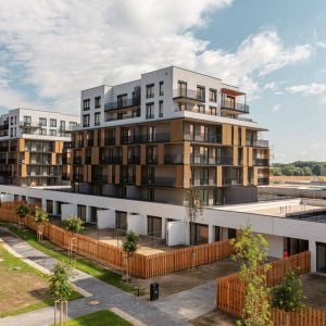 Slnečnice. Zdroj: Stavba roka