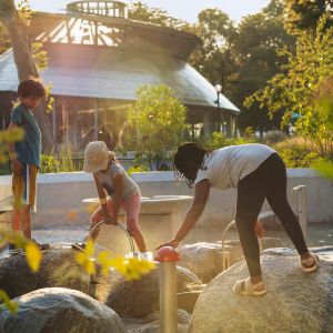 Autorka: Sahar Coston-Hardy | ESTO