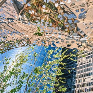 Autorka: Sahar Coston-Hardy | ESTO