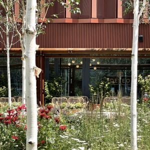 Autor: Juliusz Sokołowski