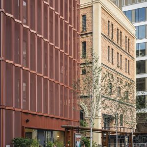 Autor: Juliusz Sokołowski