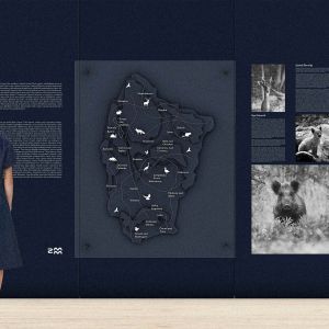 Zdroj: SUGAAR & SUGAAR